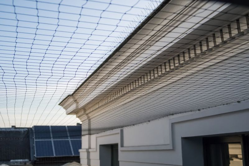 Cost of Pigeon Control Service